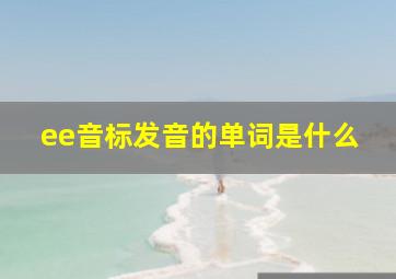 ee音标发音的单词是什么