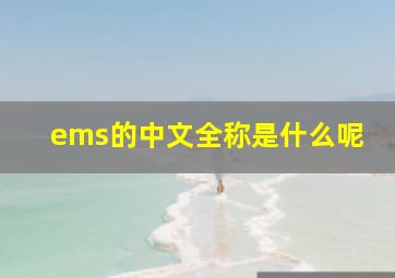 ems的中文全称是什么呢