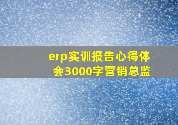 erp实训报告心得体会3000字营销总监