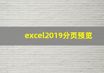 excel2019分页预览