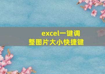 excel一键调整图片大小快捷键