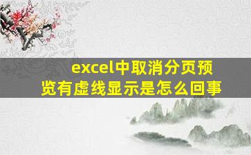 excel中取消分页预览有虚线显示是怎么回事