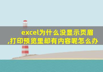 excel为什么没显示页眉,打印预览里却有内容呢怎么办