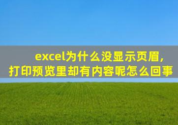 excel为什么没显示页眉,打印预览里却有内容呢怎么回事