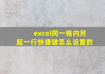 excel同一格内另起一行快捷键怎么设置的