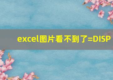 excel图片看不到了=DISP