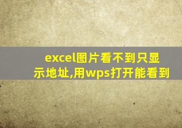 excel图片看不到只显示地址,用wps打开能看到