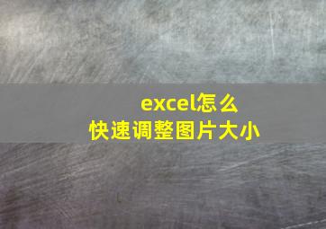 excel怎么快速调整图片大小