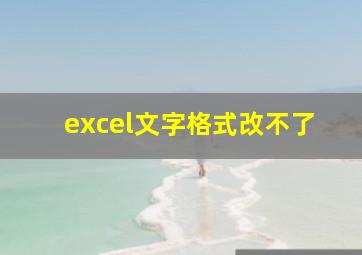 excel文字格式改不了