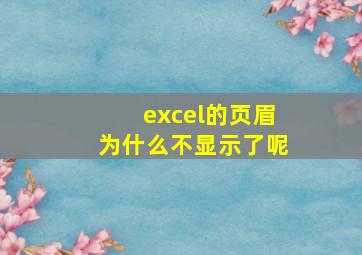 excel的页眉为什么不显示了呢