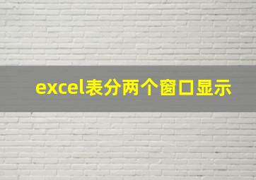 excel表分两个窗口显示