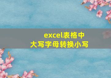 excel表格中大写字母转换小写