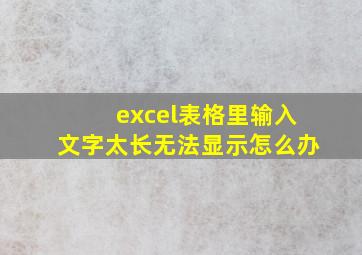 excel表格里输入文字太长无法显示怎么办