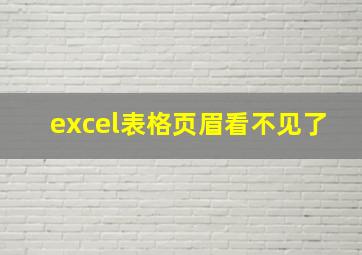 excel表格页眉看不见了