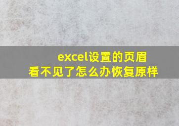 excel设置的页眉看不见了怎么办恢复原样