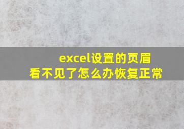 excel设置的页眉看不见了怎么办恢复正常