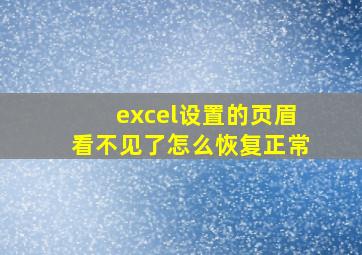 excel设置的页眉看不见了怎么恢复正常