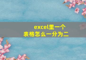 excel里一个表格怎么一分为二