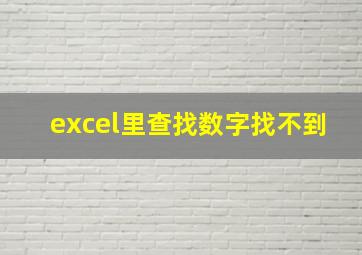 excel里查找数字找不到