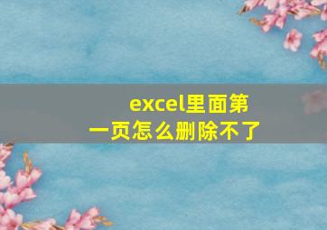 excel里面第一页怎么删除不了