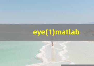 eye(1)matlab