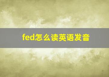 fed怎么读英语发音