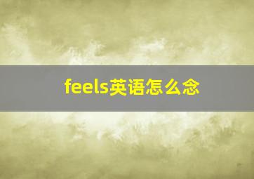 feels英语怎么念