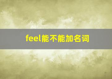 feel能不能加名词