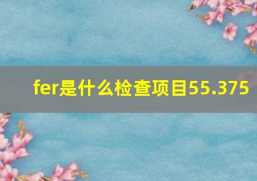 fer是什么检查项目55.375