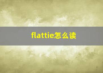 flattie怎么读