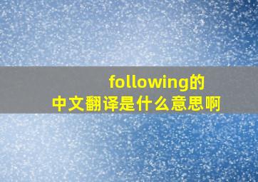 following的中文翻译是什么意思啊