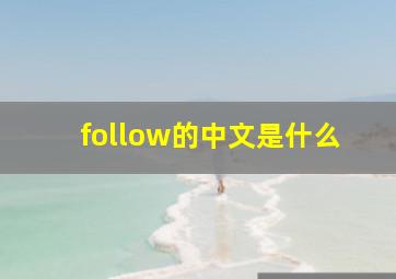 follow的中文是什么