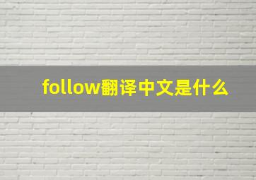 follow翻译中文是什么