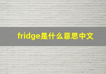 fridge是什么意思中文