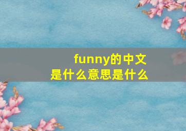 funny的中文是什么意思是什么