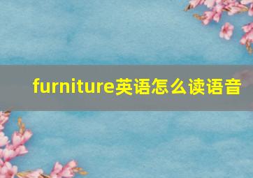 furniture英语怎么读语音