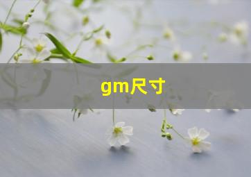 gm尺寸