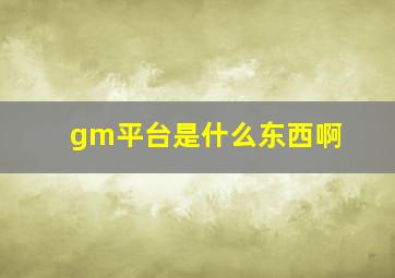 gm平台是什么东西啊