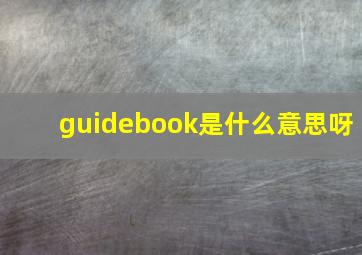 guidebook是什么意思呀