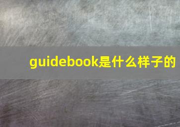 guidebook是什么样子的