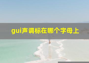 gui声调标在哪个字母上