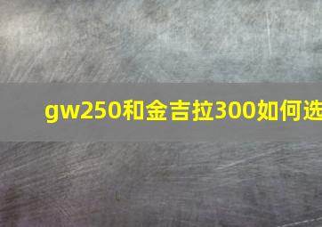 gw250和金吉拉300如何选