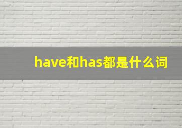 have和has都是什么词