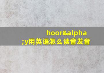 hoorαy用英语怎么读音发音