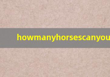 howmanyhorsescanyousee意思