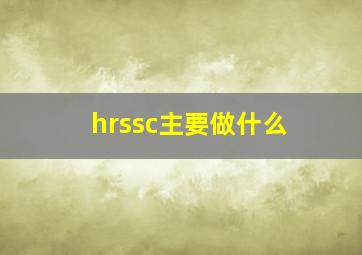 hrssc主要做什么