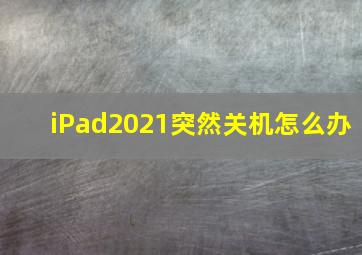 iPad2021突然关机怎么办