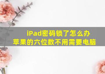 iPad密码锁了怎么办苹果的六位数不用需要电脑