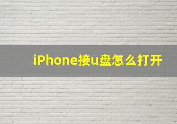 iPhone接u盘怎么打开