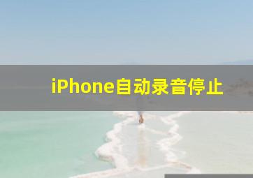 iPhone自动录音停止